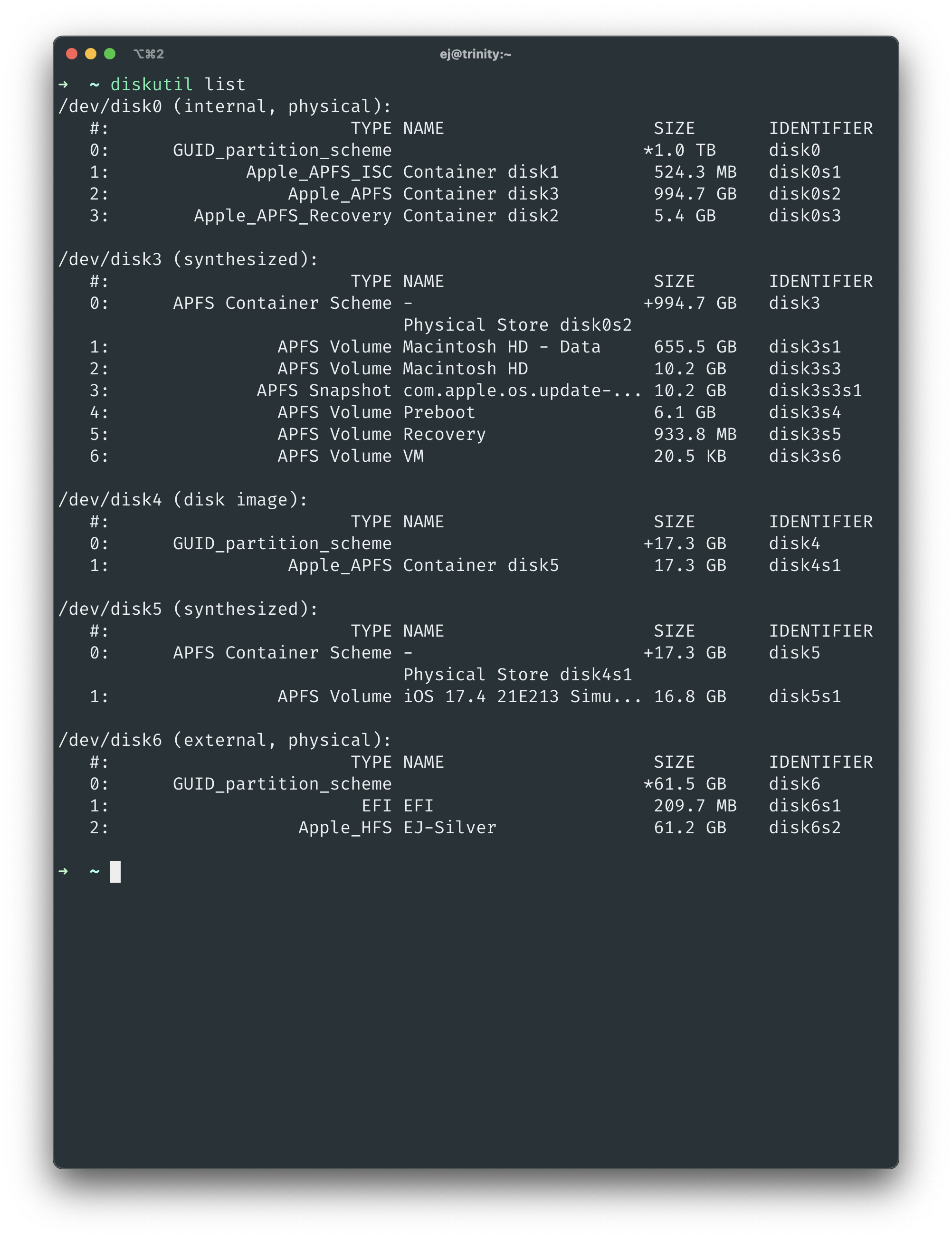 Screenshot of listing all disks using diskutil